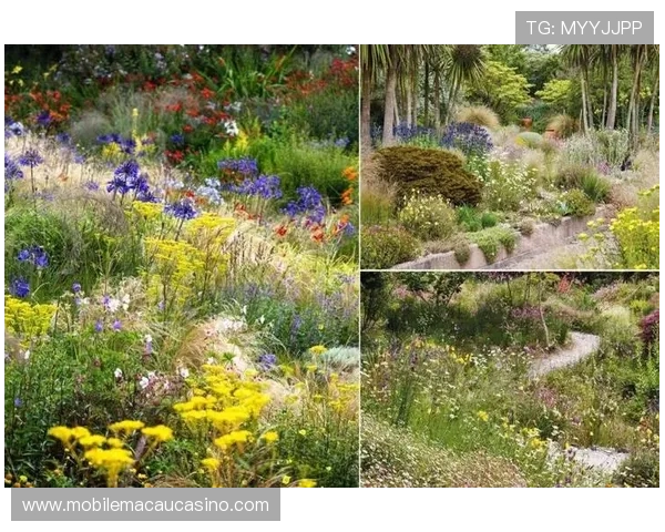 探索澳门巴黎人花园的独特景观设计与丰富的植物种类,感受自然与艺术的融合 探索澳门巴黎人花园的独特景观设计与丰富的植物种类,感受自然与艺术的融合