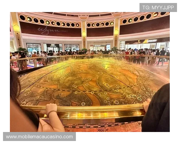 澳门永利皇宫发财树的养护技巧让你的绿植长势旺盛 澳门永利皇宫发财树的养护技巧让你的绿植长势旺盛