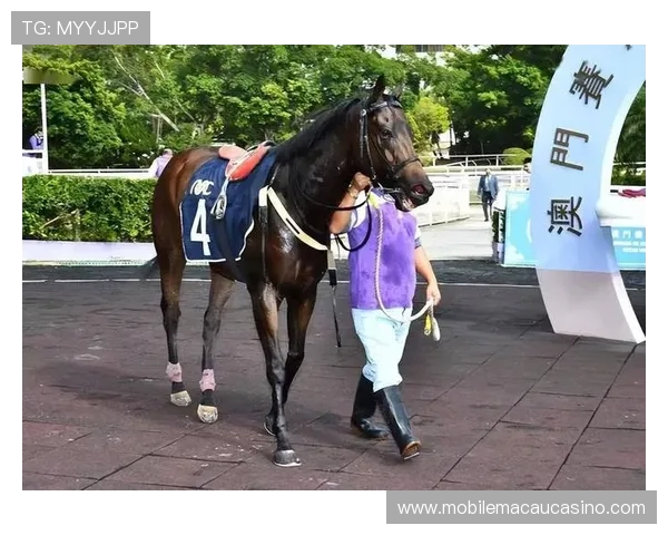 澳门赛马今天的比赛结果及冠军得主详细报道 澳门赛马今天的比赛结果及冠军得主详细报道