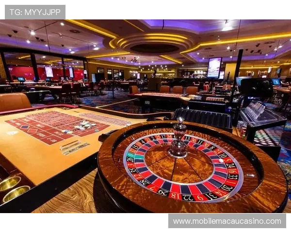 皇虎角子机娱乐中心：打造专业化的娱乐体验新选择