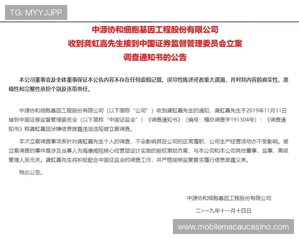 金沙官网客服热线全天候服务，及时处理您的账户安全与资金问题