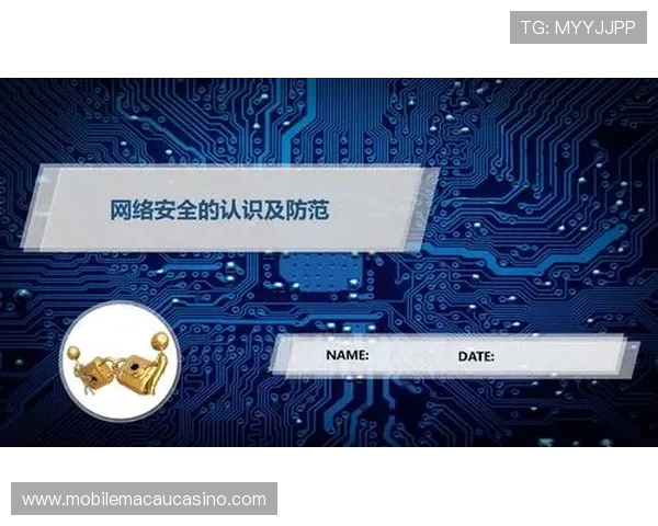 多宝真人网页版登录安全保障措施，确保您的账号信息安全无忧