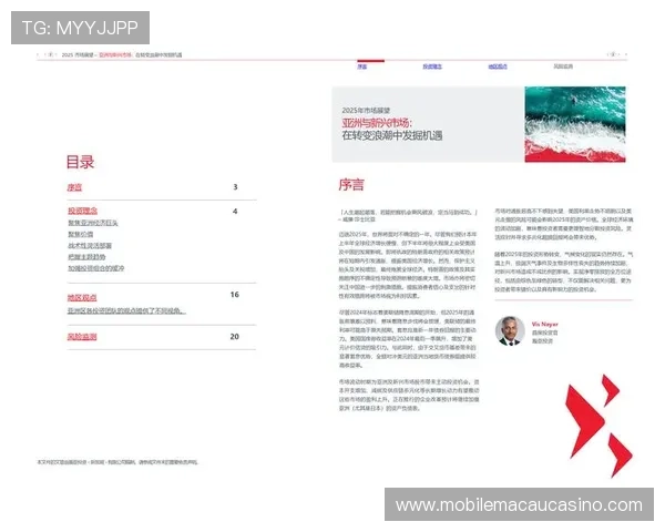 大阳城集团在国际市场的扩展策略与跨国合作新机遇