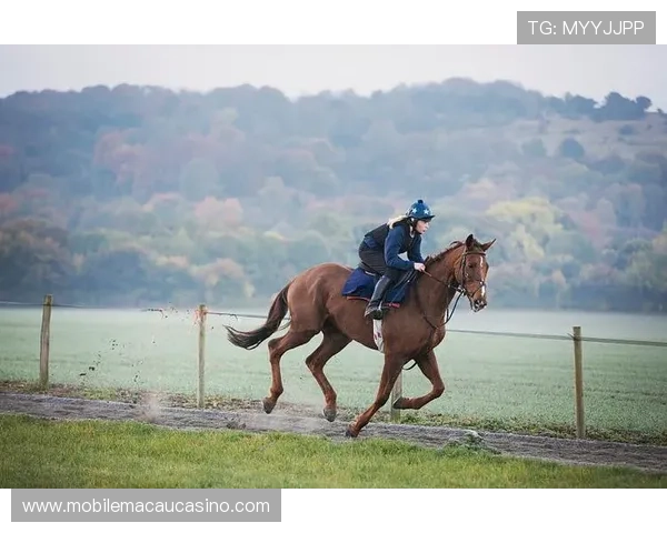 如何快速下载安装赛马会手机版,让你的投注更加便捷顺畅 如何快速下载安装赛马会手机版,让你的投注更加便捷顺畅