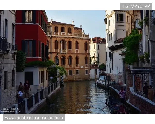 威尼斯真人娱乐攻略：掌握玩法技巧快速获胜