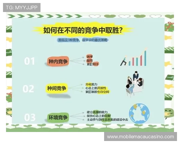 掌握真人国际攻略关键策略让你在跨国比赛中脱颖而出赢得胜利