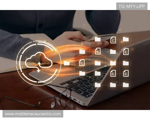 新手必看百家乐平台推荐低门槛高回报的安全平台推荐