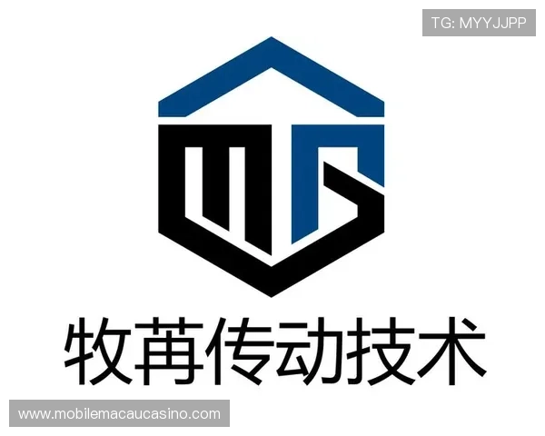 永乐高电脑版官网提供最新游戏补丁和版本更新实时通知