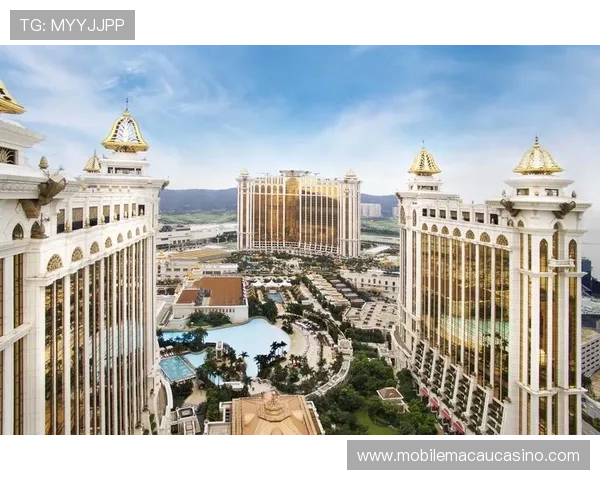 澳门AG真人娱乐平台用户评价极高，赢取大奖轻松实现梦想