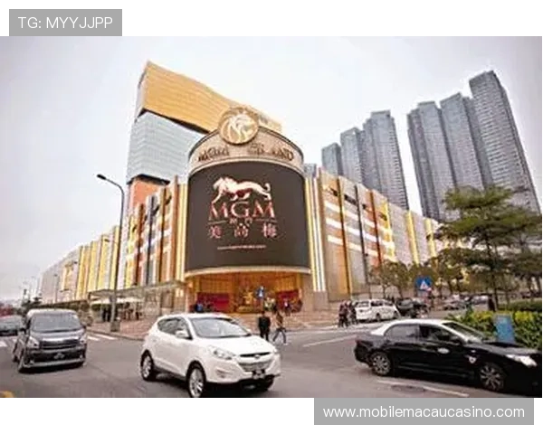 澳门美高梅线上登陆账户安全保障措施，全方位保护用户资金和个人信息
