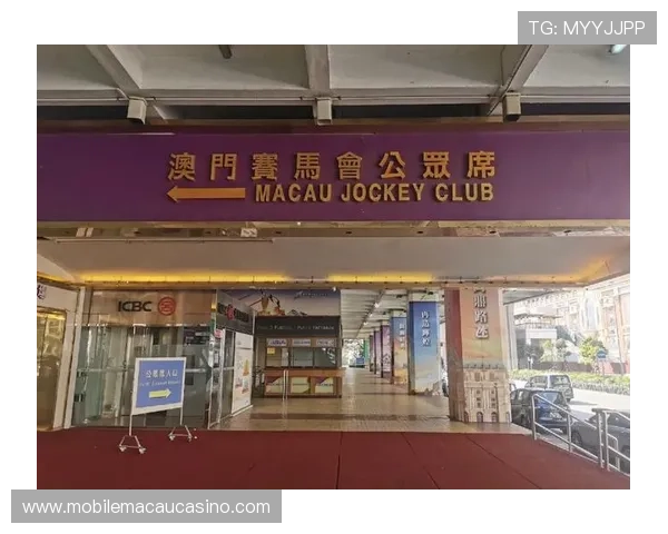 澳门赛马会幸运三肖三码现场分析,实战经验分享助你赢取百万大奖 澳门赛马会幸运三肖三码现场分析,实战经验分享助你赢取百万大奖