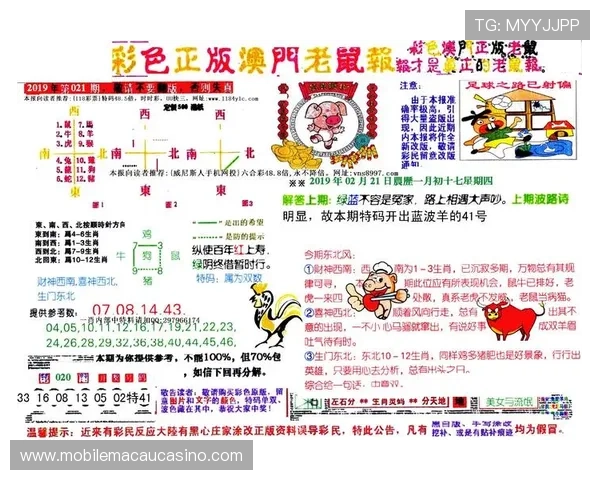 澳门足球投注实用技巧：提高中奖率的策略分享